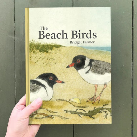 THE BEACH BIRDS - Lift The Flap Children's Book