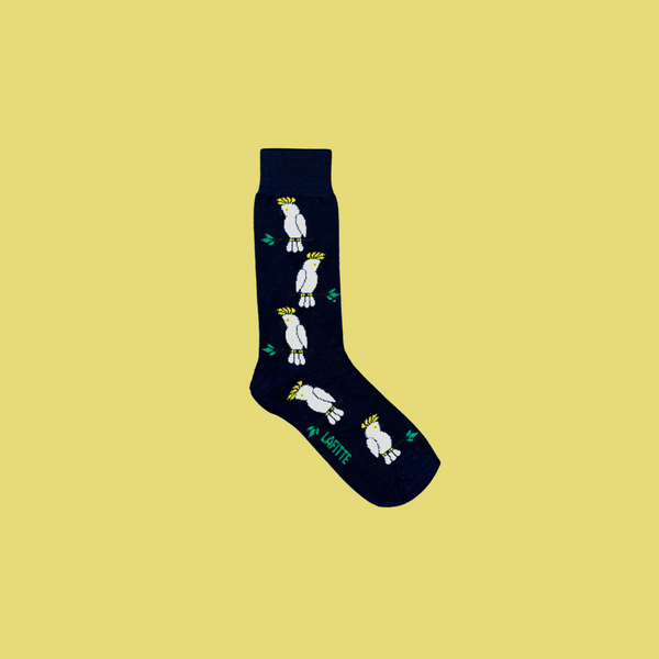 Socks by Lafitte