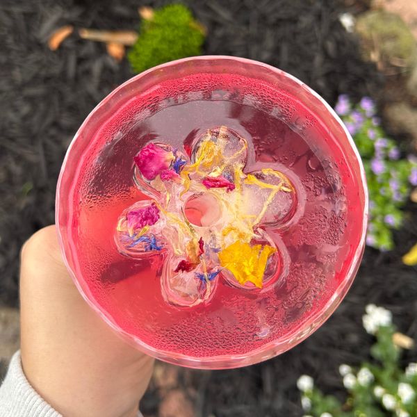 Edible Flowers - Confetti