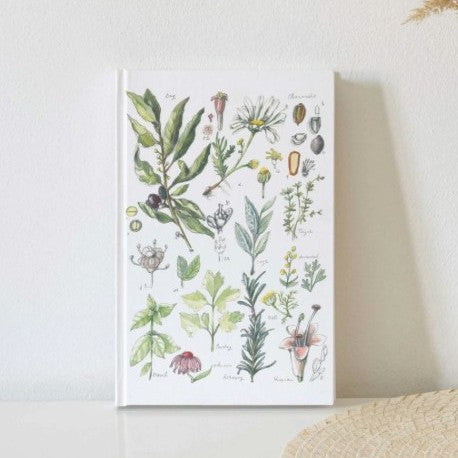 Unlined Melbourne Journals