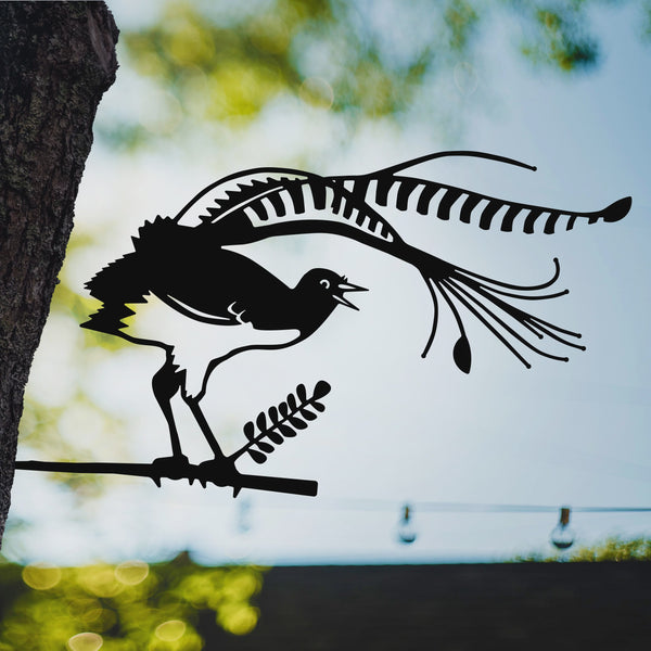 Lyrebird