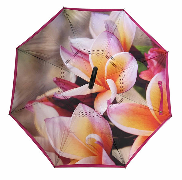 Reverse Umbrella