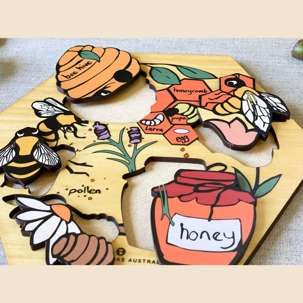 Honey Bee Cycle Puzzle