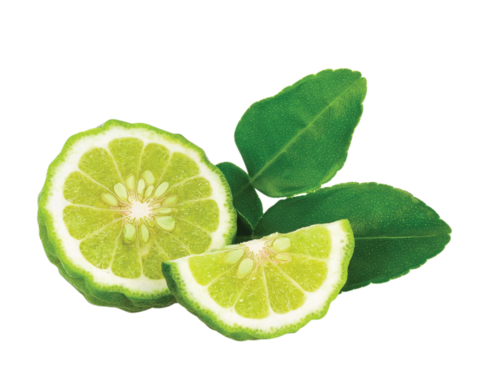 Bergamot
