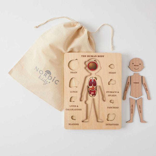 Human Body Puzzle