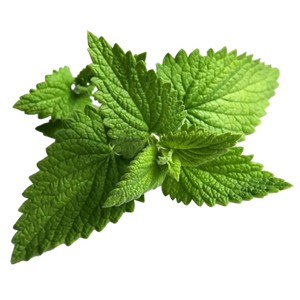 Peppermint oil