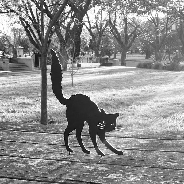 Black Cat by Animalia