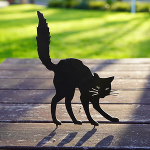 Black Cat by Animalia
