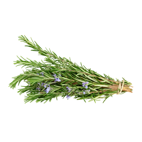 Rosemary